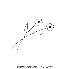 Vector isolated two doodle flower decoration colorless black and white