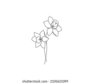 Vector isolated two narcissus daffodils flowers blossom contour line colorless black and white drawing