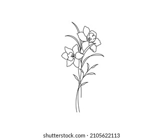 Vector isolated two narcissus daffodils flowers bouquet contour line colorless black and white drawing