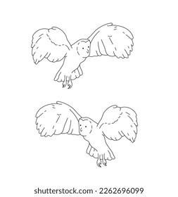 Vektorgrafik einzeln auf zwei Paar fliegende Eule mit ausgestreckten Flügeln, farblose schwarz-weiße Kontur-Linie leicht zeichnen