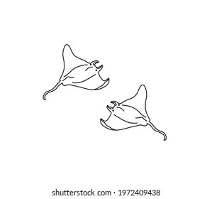 Vector isolated two stingrays torpedo line drawing set. Contour colorless stingray graphic outline sketch.