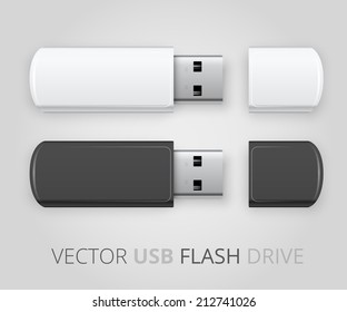 Vector isolated USB pen drives, black and white flash disks