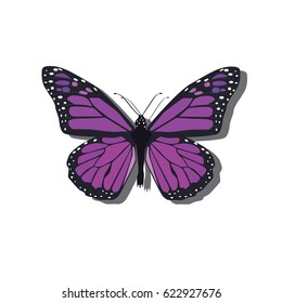 Vector isolated violet butterfly.