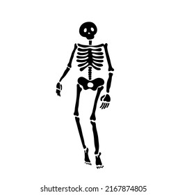 Vector Isolated Walking Human Skeleton Black Outline Silhouette Stencil