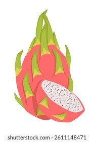 Vector isolated whole dragon fruit with half dragon fruit