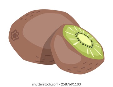 Vector isolated whole kiwi with half kiwi 