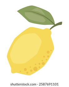 Vector isolated whole lemon illustration 