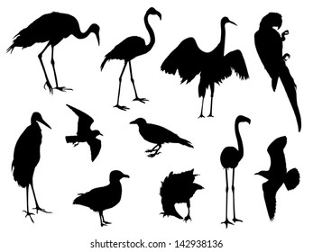 Collection Isolated Great Blue Heron Silhouette Stock Vector (Royalty ...