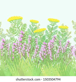 Vector isolated wild green flowering plant