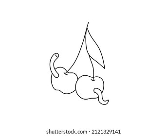 Vector isolated wormy cherry colorless black and white contour line drawing