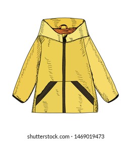 vector, isolated, yellow sketch women's fashion jacket