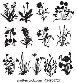 vector, isolated,silhouette  large set wild flowers and plants, silhouette of wildflowers
set
