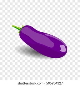 Vector isolates big eggplant for design, brochures, banners, packages. Fresh, healthy food, diet. Bright delicious vegetables on a transparent background. Sticker. Print. Realistic Illustration. 