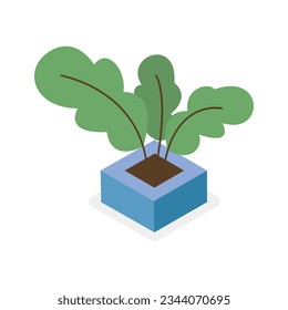 Vector isometric flower in pot isolated on white background.