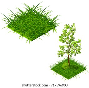 Vector isometric grass with example of use