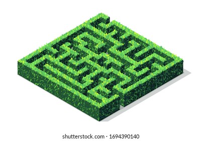 Vector Isometric Green Hedge Maze Or Labyrinth