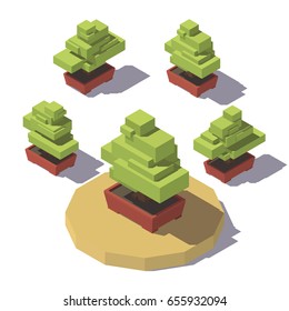 Vector isometric low poly bonsai in a pot plant.