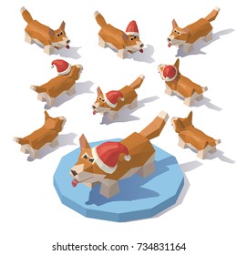 Vector isometric low poly Corgi in a Christmas hat. Corgi from different angles.