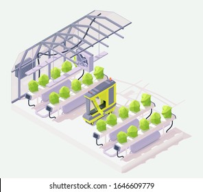 Vector isometric modern agricultural robot working in greenhouse. Cross-section illustration. Hydroponics process of growing plants, garden beds. Smart greenhouse system. Robotic arm inspecting crops