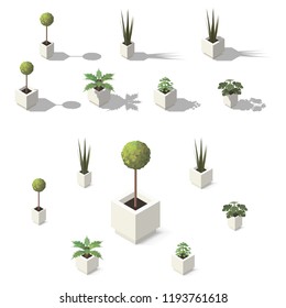 Vector Isometric Office Plants. Indoor House Plants Set For Interior Decor.