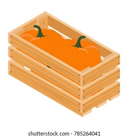 Vector isometric ripe pumpkins in wooden box, crate isolated on white background. Autumn harvest