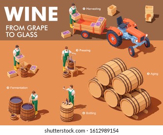 Vector isometric wine making process. Wine makers on grapes harvesting on vineyard, crushing and pressing grapes, aging and bottling. Winery production process steps illustration