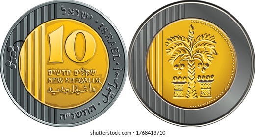 Vector Israeli gold and silver money ten shekels coin. Nominal on reverse, date palm on obverse