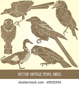 vector items: birds - variety of vintage bird illustrations