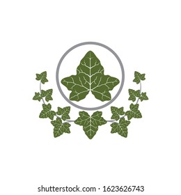 Vector of Ivie leaf design eps format, suitable for your design needs, logo, illustration, animation, etc.