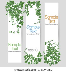 Vector ivy leaf decorated banner set illustration