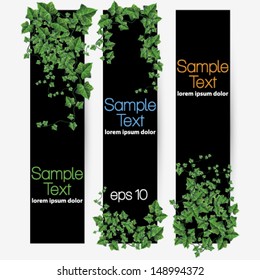 Vector ivy leaf decorated banner set illustration