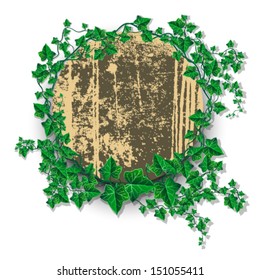 Vector ivy leaf decorated grunge rounded banner illustration
