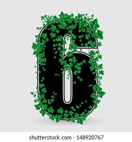 Vector ivy leaf decorated number six illustration