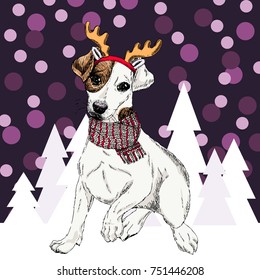 Vector jack russel terrier dog wearing reindeer antlers tiara and scarf. Isolated on snowy trees and sparklers. Sketched color illustration. Christmas, Xmas, New year. Party decoration, greeting card.