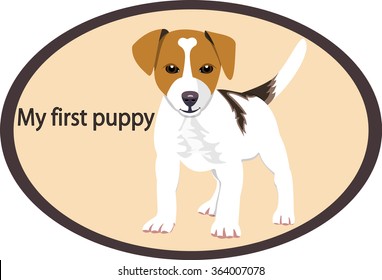 Vector Jack Russell Puppy