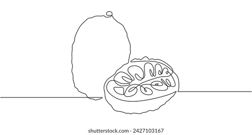 Vector jackfruit one line drawing. Nature tropical food illustration.