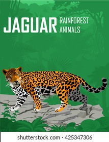 Vector Jaguar, Leopard in Jungle Rainforest