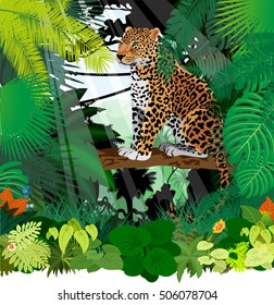 Vector Jaguar, Leopard in Jungle Rainforest