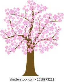 vector japan cherry blossom tree [sakura] 