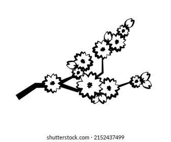 Vector japan sakura cherry branch with blooming flowers. Design constructor with blooming cherry branch. Apricot flower for tattoo. Design for printing on cards, invitations, banner, poster