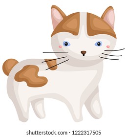 a vector of a japanese bobtail cat