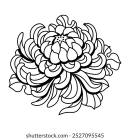 Vector Japanese Chrysanthemum Illustration Tattoo Isolated