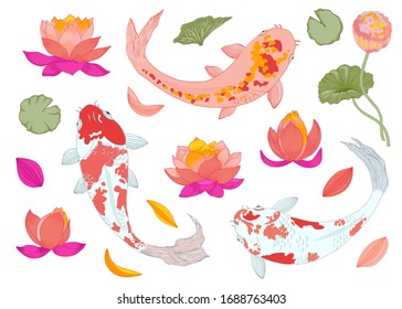 Vector japanese fish carp koi swimming set with lotus flowers. Colorful collection. 