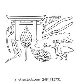 Vector Japanese ink illustration set. Torii Gate, leaves and Bonsai tree of Pine in line art style, sketch, chalkboard style. Isolated object EPS vector. Black outline