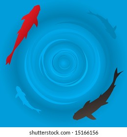 Vector - Japanese koi or carp fish swimming in a circle.