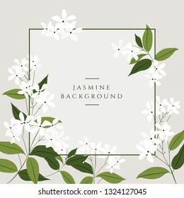 Vector jasmine flower banners. Design for tea, natural cosmetics, beauty store, organic health care products, perfume, essential oil, aromatherapy. Can be used as greeting card or wedding invitation