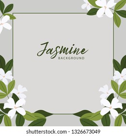 Vector jasmine flower banners. Design for tea, natural cosmetics, beauty store, organic health care products, perfume, essential oil, aromatherapy. Can be used as greeting card or wedding invitation