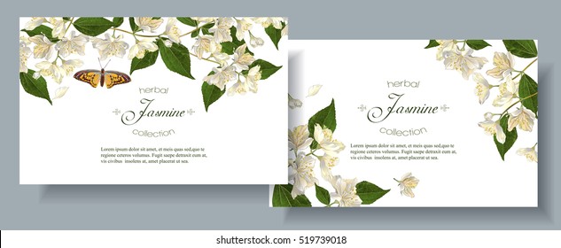 Vector jasmine flower banners. Design for tea, natural cosmetics, beauty store, organic health care products, perfume, essential oil, homeopathy, aromatherapy. With place for text. On white background