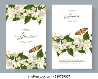 Vector jasmine flower banners. Design for tea, natural cosmetics, beauty store, organic health care products, perfume, essential oil, homeopathy, aromatherapy. With place for text. On white background