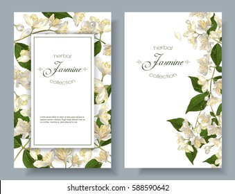 Vector jasmine flower banners. Design for tea, natural cosmetics, beauty store, organic health care products, perfume, essential oil, aromatherapy. Can be used as greeting card or wedding invitation